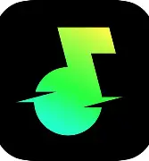 汽水音乐 logo